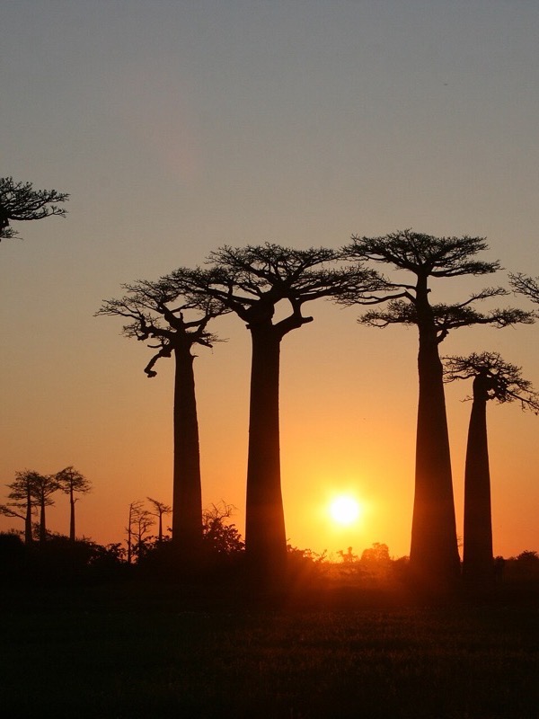 Madagascar