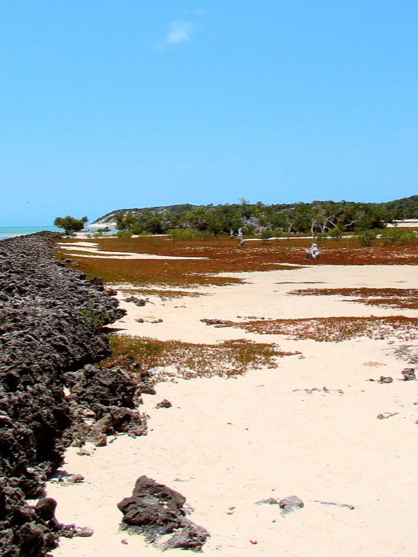 Mozambique