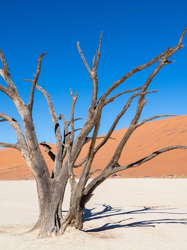 Namibia