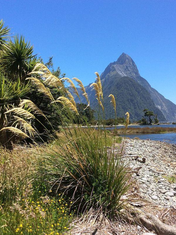 New Zealand